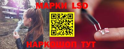 дмт Камышлов