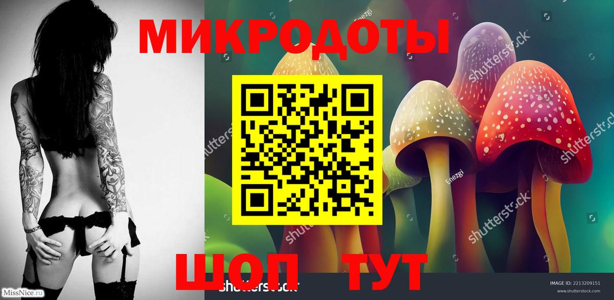 Галлюциногенные грибы Psilocybine cubensis Кудымкар