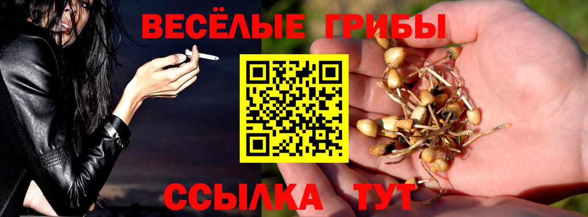 Кудымкар  Псилоцибиновые грибы Magic Shrooms  Вход с VPN  Псилоцибиновые грибы мицелий 
